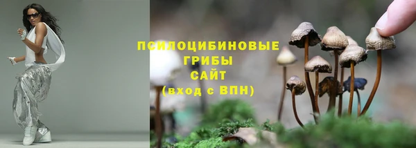 2c-b Верея