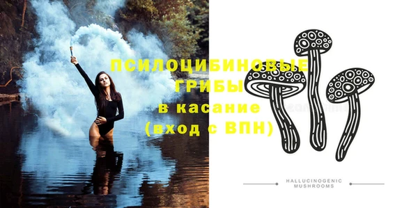 ешки Бугульма