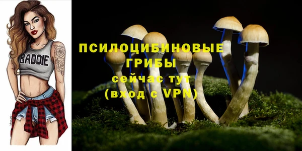 эйфоретик Белокуриха